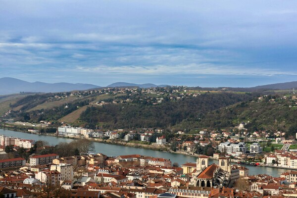 Vienne City View